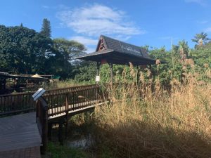 waffle house ramsgate local first hibiscus coast kzn