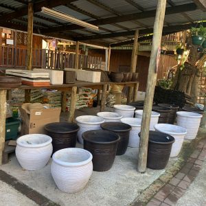 sebenza ramsgate village nursery local first