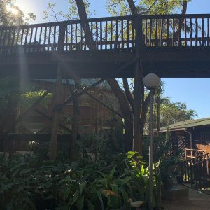 sebenza village nursery local first