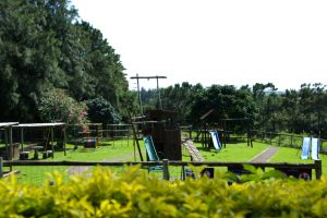 kc's coffee shop playground play area fresh food local first